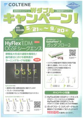 HyFlex™ EDM-OGSF シークエンス ガッタフロー２ Wキャンペーン