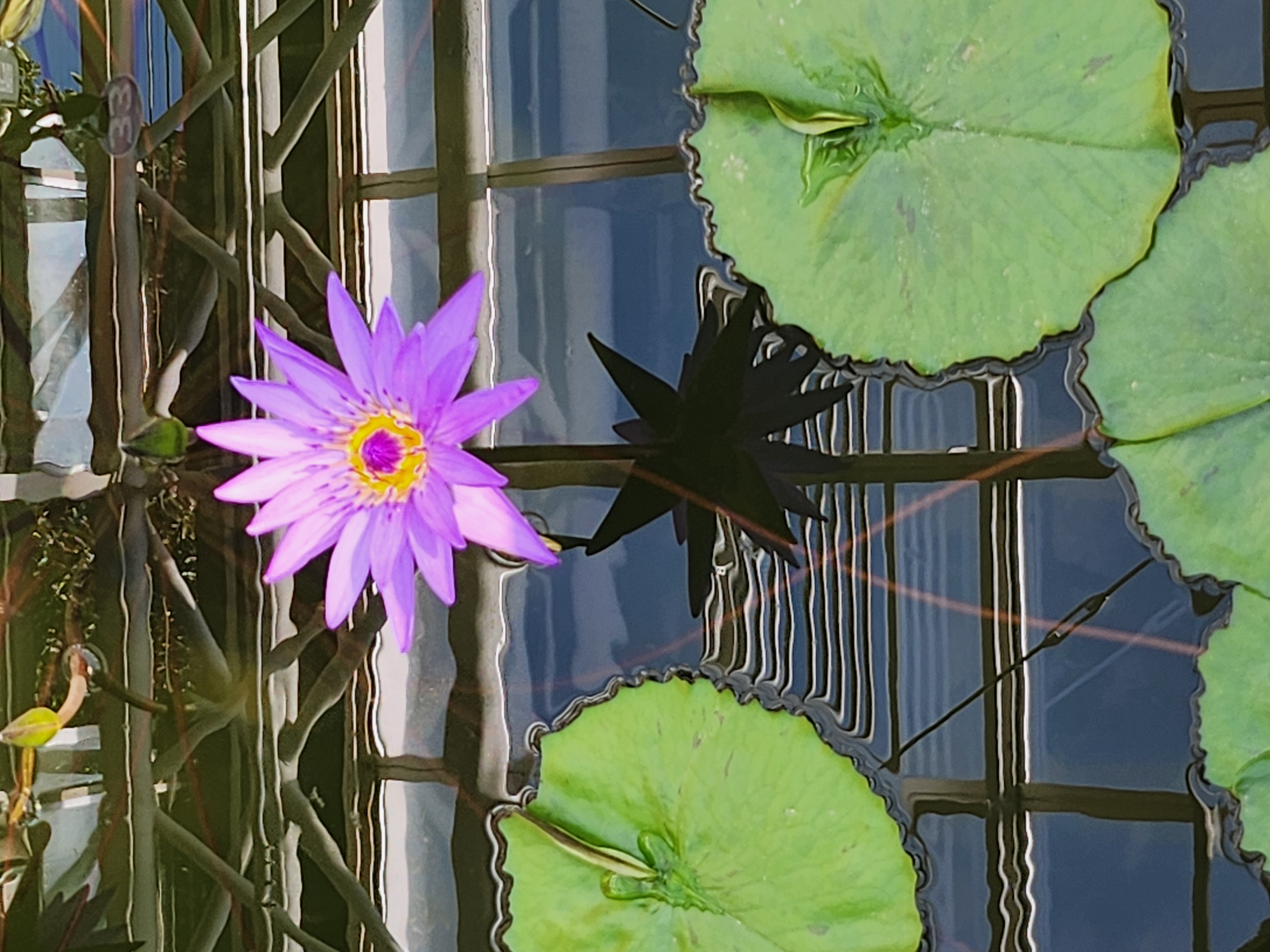 投稿者アイコン画像